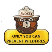 pa fire departments, pennsylvania fire, pennsylvania fire wildfires, pennsylvania fire open burning, pennsylvania fire fire departments, pennsylvania fire firefighters, pennsylvania fire fire source, pennsylvania fire open burning regulations, outdoor burning, prevent wildfires, burning laws, outdoor burning requirements