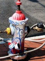 photo by Lorna E Carlson